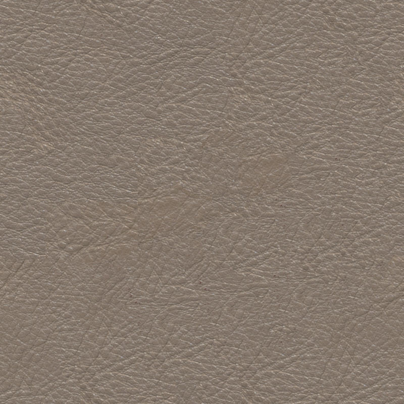 Tekstura usnja v nevtralnih tonih